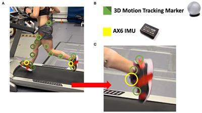 Examination of a foot mounted IMU-based methodology for a running gait assessment